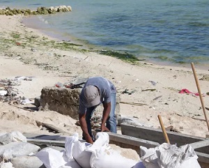 Constructing sea walls to protect low-lying Pacific islands from sea level rise is futile. AAP Image/Elise Scott