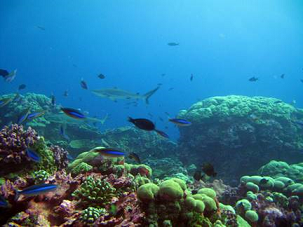 The Phoenix Islands Protected Area. Credit - MELAD