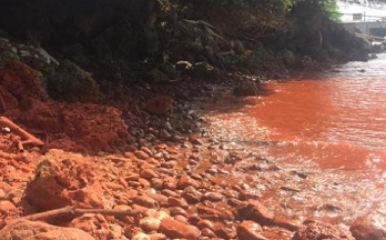 Basamuk Bay. Photo: Facebook/ Elisha Wesley Mizeu