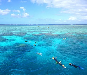 Great Barrier Reef, Australia. source - https://www.zmescience.com
