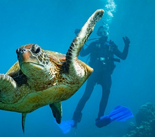 Partially protected areas are often proposed as a way to bolster marine life and to improve people’s enjoyment of the ocean—neither of which seems to be happening. Photo by Kai Egan/Alamy Stock Photo