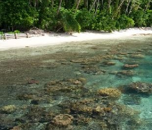 Gatokae Island, Marovo Lagoon. Solomon Islands. Credit - Tripadvisor.com