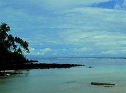 Informing the post-2020 Global Biodiversity Framework: Overcoming Obstacles to Develop Biodiversity Baseline Data in Small Island Developing States (Session 1)