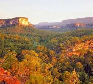 Carnarvon national park, one of two parks bordering the area where Australia’s largest east coast gas producer wants to drill up to 7,700 new wells. Photograph: Auscape/UIG via Getty Images