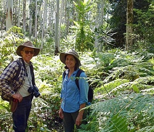 Queensland nature refuges. source - https://westender.com.au/
