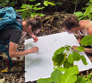 Credit - David Helvarg