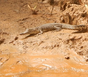 Credit - Christina Wood/WorldFish