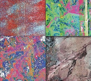 Plant species diversity in four different ecosystems represented as spectral variation. Credit: Anna Schweiger, Etienne Laliberté