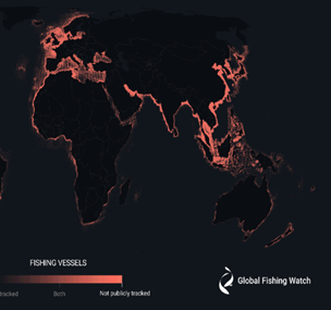 Credit - Global Fishing Watch