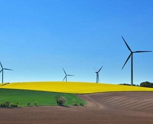 Latest U.N. sustainability goals pose more harm than good for environment, scientists warn. Latest U.N. sustainability goals pose more harm than good for environment, scientists warn. credit - CC0 Public Domain