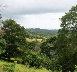 Credit: Jorge Aleman, Smithsonian Tropical Research Institute