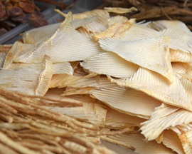 Shark fins. Source - www.seafoodsource.com