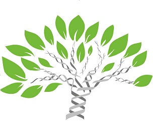 Credit: Pixabay/CC0 Public Domain