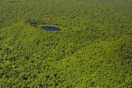 Upland Forest, Savaii Island. Credit - Stuart Chape