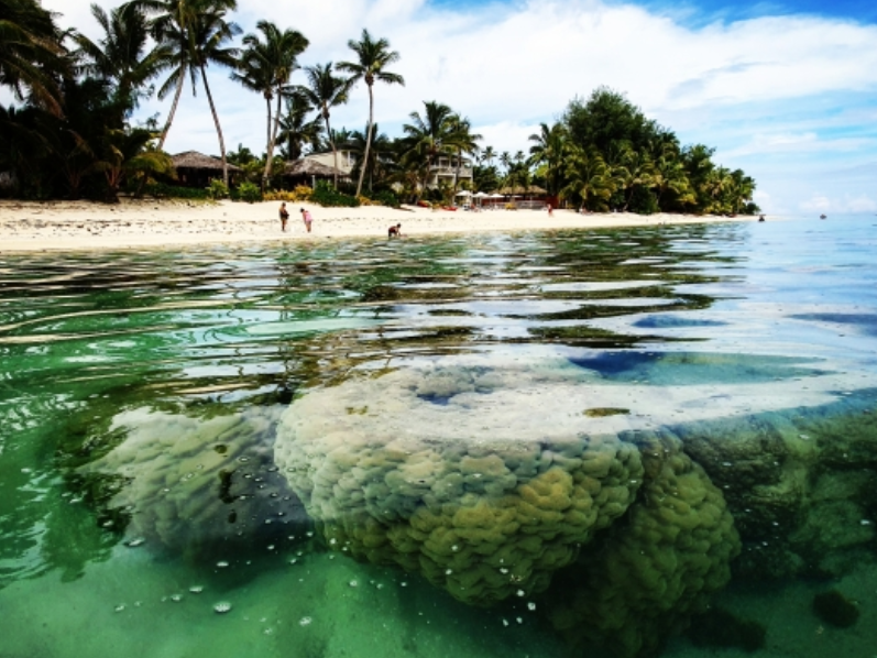 Center for Excellence