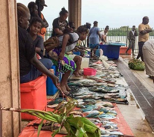 Solomons government commits to sustainable tuna with help of citizens. Credit - FFA
