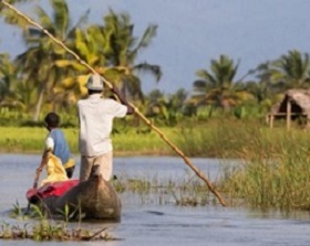 The State of the Tropics Matters Wherever You Live. Credit - AdobeStock