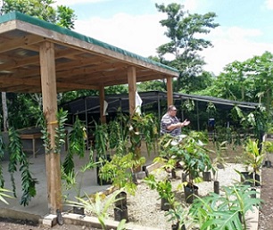 Restoring Tagabe river ecosystem. Credit - Anita Roberts/https://dailypost.vu/