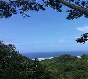 Takitumu Conservation Area, Cook Islands. Credit - NES