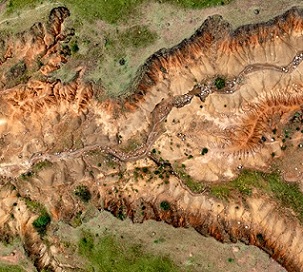 Rock becomes visible as topsoil is eroded away.Credit: Martin Harvey/Getty