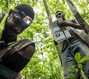 Jason Paliau is a lecturer at the Papua New Guinea University of Resources and Environment in Rabaul. Credit: UN-REDD Programme