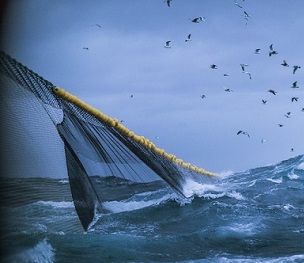 Greenpeace calls for marine protected areas in Taiwan. Credit - Getty Images