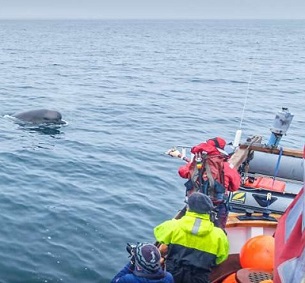 Credit: University of St Andrews