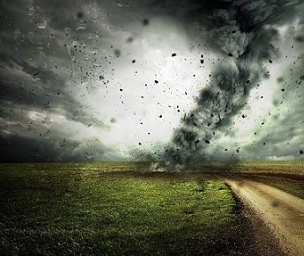 'Overwhelming' international support for more government action on environment, message-testing experiment finds. Credit - Credit: Pixabay/CC0 Public Domain 