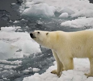 Credit - https://phys.org/