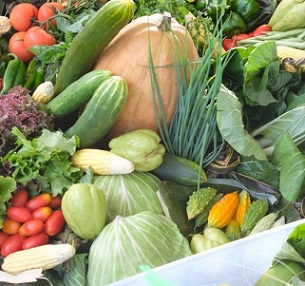 Fresh vegetables. Credit - https://www.innov4agpacific.net/