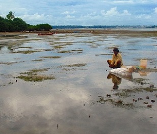 Credit - V. Jungblut