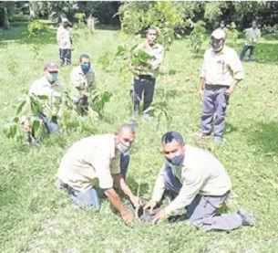 Port Moresby Nature Park grounds team commemorating the International Day for Biological Diversity by planting trees around the park. – Picture supplied