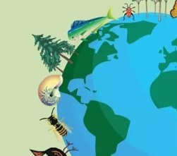 Biodiversity loss is loss for humanity 