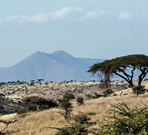 David Clode via Unsplash