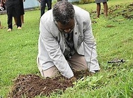 Minister of Climate Change, Bruno Tau Leingkone planting a tree. Photo: Department of Environment
