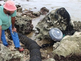 Part of a drifting FAD washed up on a beach. Photo: A. Durbano, Association Hô-üt’, New Caledonia.