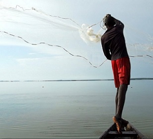 World Oceans Day How Marine World Heritage builds resilience for people and nature. Credit - UNESCO
