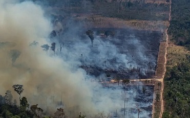 Forest fires in the Amazon occured on an unprecedented scale in 2019. Photograph: Victor Moriyama/AFP/Getty Images