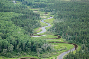 The Broadback Watershed contains some of the last old-growth boreal forest in the Waswanipi Cree territory.(Josué Bertolino/© Josué Bertolino / Greenpeace)