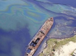 In 1986, a refinery accident heavily contaminated the near-shore habitats of Bahia Las Minas in the central Caribbean coast of Panama. Credit: Smithsonian Archives