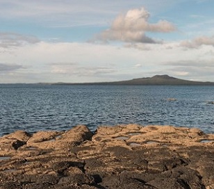 Marine protection areas will increase almost three-fold under the government's plan. Photo: 123rf.com