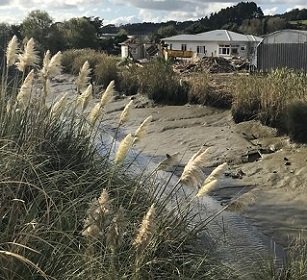 Awaroa River, Helensville Photo: LDR / Susan Botting