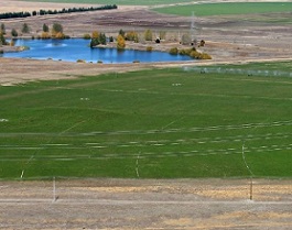  Mackenzie Basin. Credit - John Bisset/Stuff