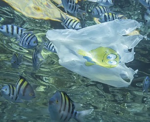 Life-cycle assessment of plastic packaging fails to account for marine pollution. Andrey Nekrasov/Barcroft Media via Getty Images