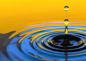 Microplastics are everywhere, study finds