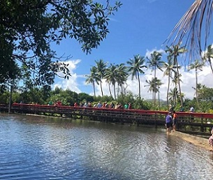 Moata'a mangroves, Samoa. Credit - V. Jungblut. SPREP