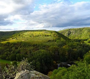 Scientists help wildlife parks mobilize against poaching. Credit - Credit: CC0 Public Domain