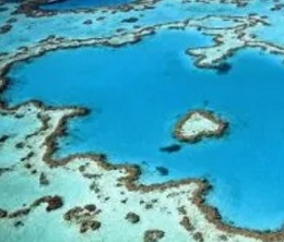 Coral reefs have been impacted by severe bleaching events. Credit - https://therising.co/