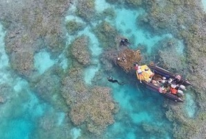 Papahānaumokuākea Research and Conservation Fund Announces $1 Million in Grants to Support Management and Conservation. Credit - NFWS