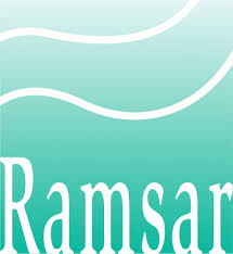 Ramsar Convention Logo